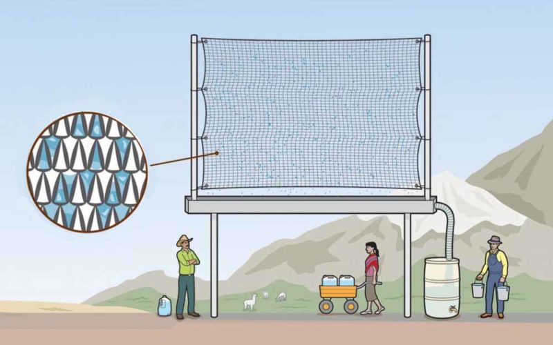 Conceptual view of fog-harvesting technology