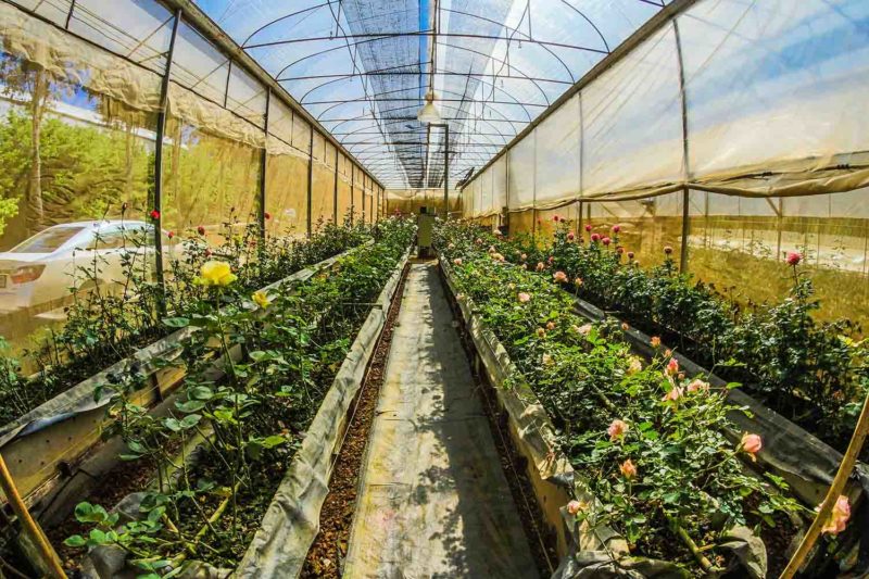 Seawater Greenhouse can grow crops in world's harshest environments | Vicharoo