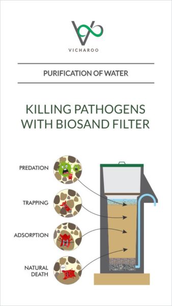 Illustration: How does biosand filter kills the pathogens? | Purification of water | Low cost DIY methods | Vicharoo