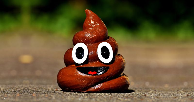 Town mails dog poop back to negligent owners to teach them a lesson | Vicharoo