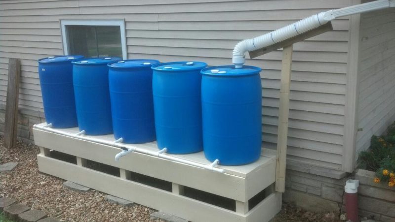 Barrels connected for rainwater harvesting
