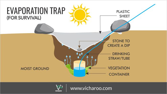 Evaporation Trap to get potabale water from the moist ground in the survival situation | Vicharoo