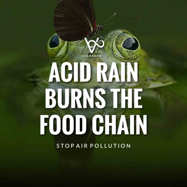 Anti Acid Rain Slogans