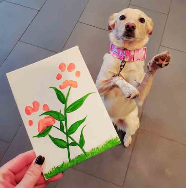 Cute painting made with dog's paw prints