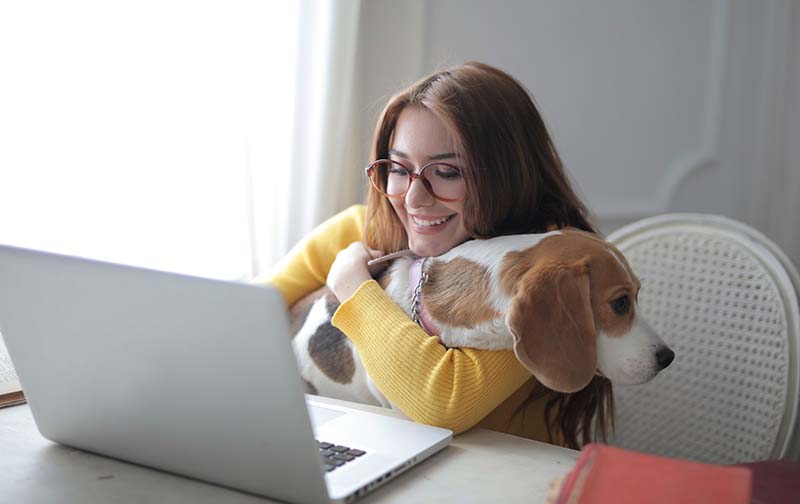 Now you can work from home while cuddling your pet