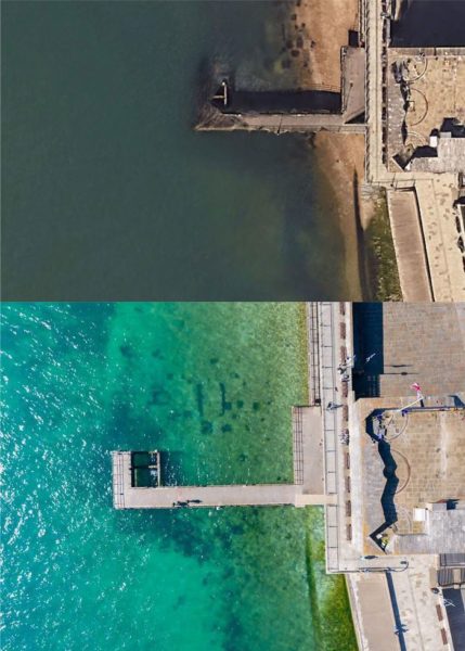 Water has become clearer around coastline near Portsmouth.