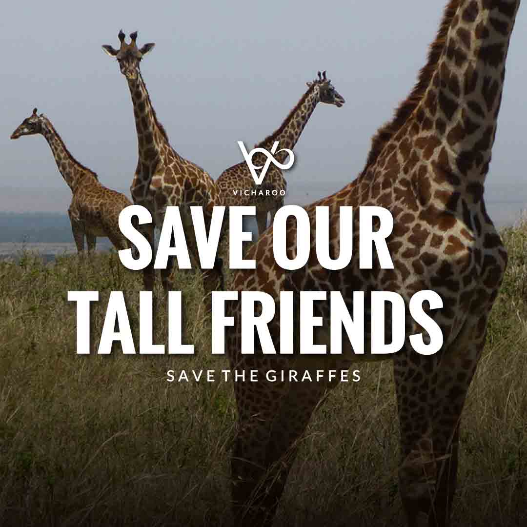 159+ Catchy Save Animals & Wildlife Conservation Slogans & Quotes ...