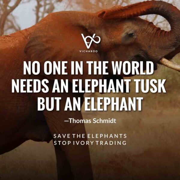 Save Elephants conservation Slogans  and Quotes | World Elephant Day | National Elephant Appreciation Day