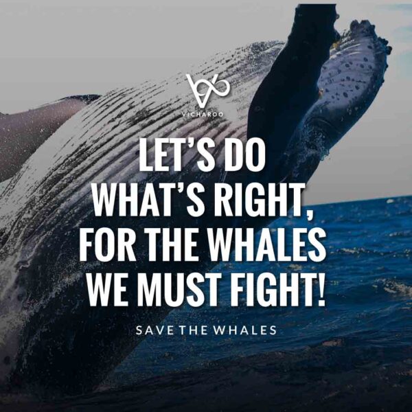 Save Whales Slogans and quotes | World Whale Day | World Orca Day