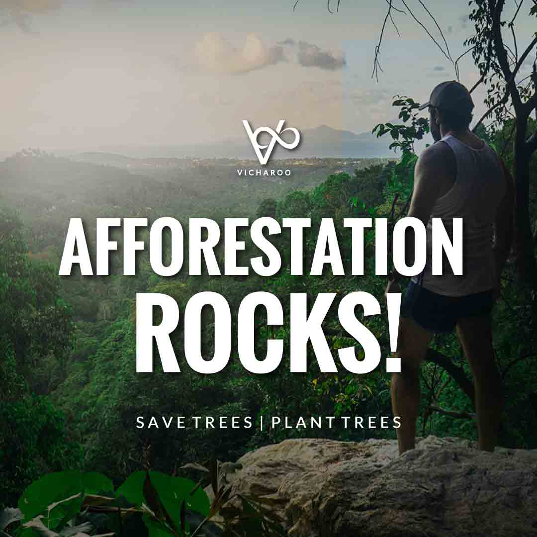 109+ Amazing Save Trees Slogans & Quotes | Arbor Day – Vicharoo