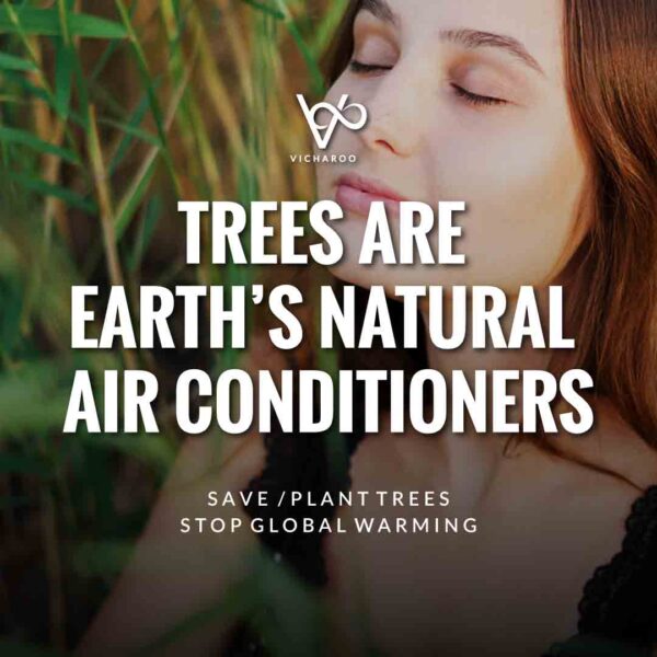 Save Trees Quotes