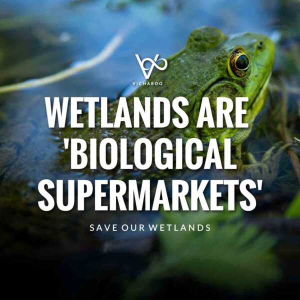Save Wetlands Slogans | World Wetlands Day