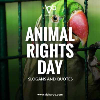 International Animal Rights Day Slogans and Quotes