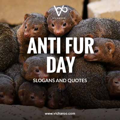 National Anti-Fur Day Slogans and Quotes