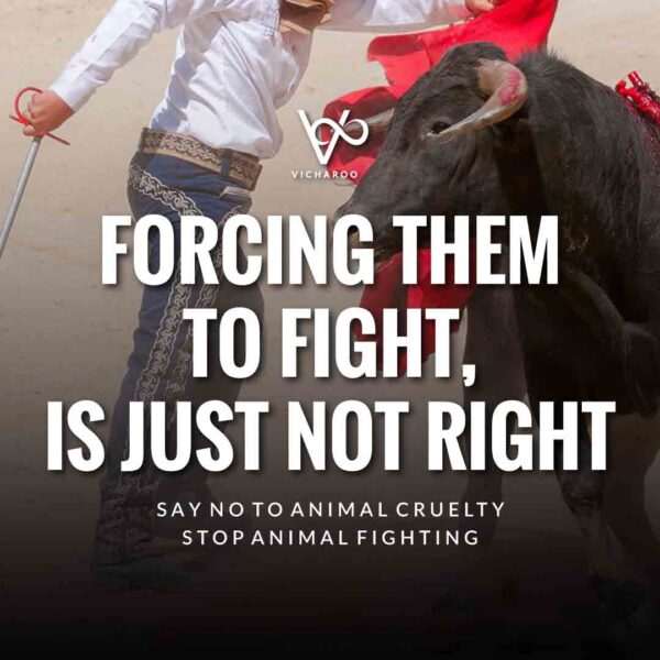 Anti Dogfighting Bullfighting Cockfighting Slogans & Quotes | National Dogfighting Awareness Day | Animal Cruelty