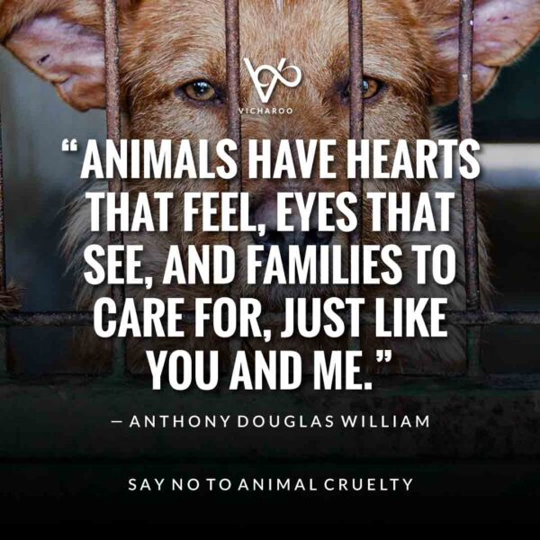 Anti Animal Abuse, Cruelty Quotes
