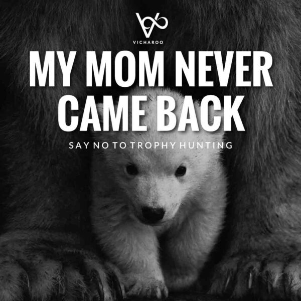 Anti Trophy Hunting Slogans and Quotes | International Day against Hunting