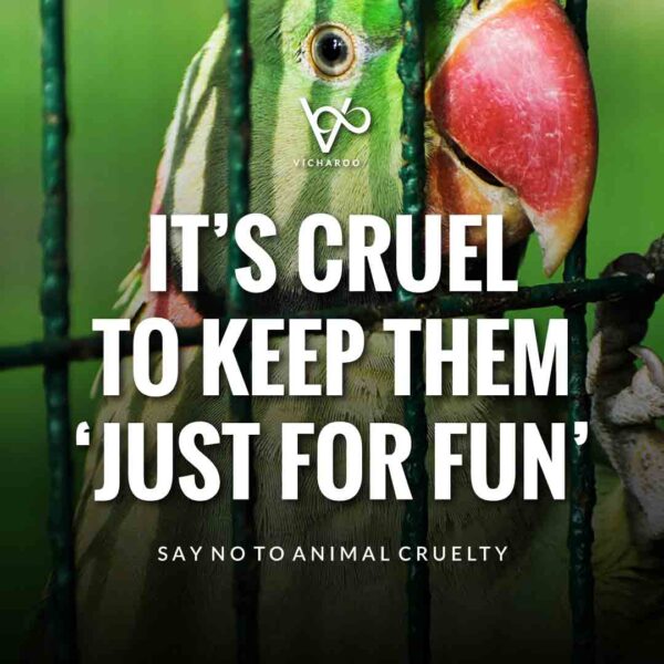 Anti Caging and Animal Captivity Slogans and Quotes | World Animal Day