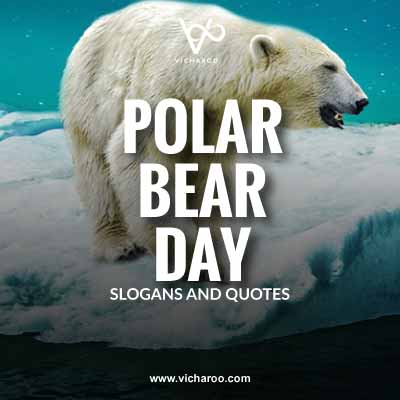 International Polar Bear Day Slogans and Quotes