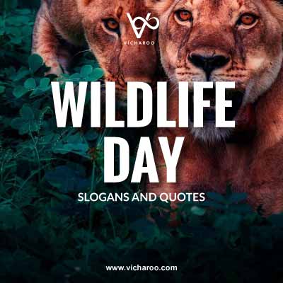 World Wildlife Day Slogans and Quotes