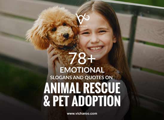 78+ Best Animal Rescue & Pet Adoption Day Slogans & Quotes – Vicharoo
