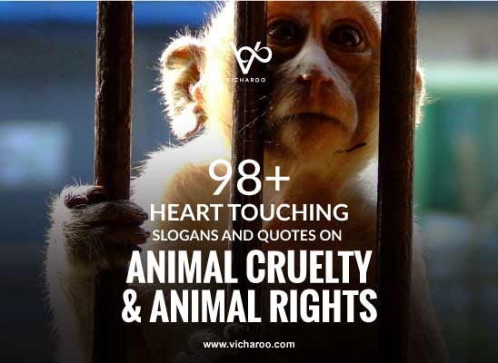 98+ Top Anti Animal Cruelty Slogans & Quotes | Animal Rights Day – Vicharoo