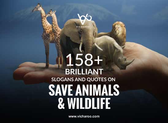 159+ Catchy Save Animals & Wildlife Conservation Slogans & Quotes – Vicharoo