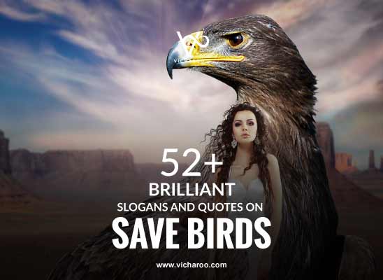 52+ Catchy Save Birds Slogans & Quotes | Bird Day – Vicharoo
