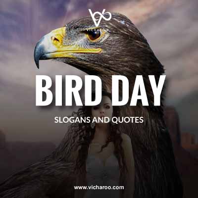 National Bird Day Slogans and Quotes