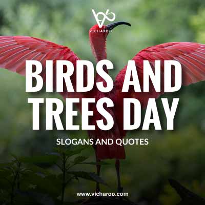 Birds and Trees Day Slogans and Quotes