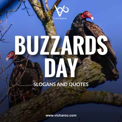 Buzzards Day Slogans and Quotes