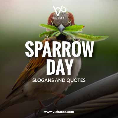 World Sparrow Day Slogans and Quotes