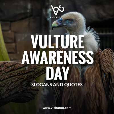 International Vulture Awareness Day Slogans and Quotes