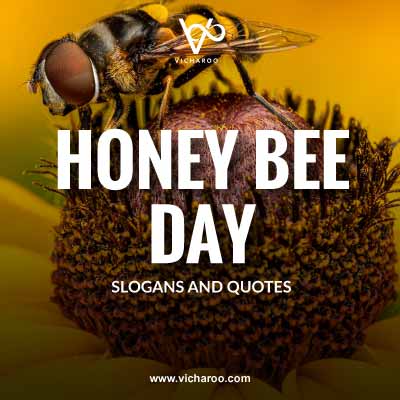 National Honey Bee Day Slogans and Quotes