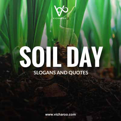 World Soil Day Slogans and Quotes