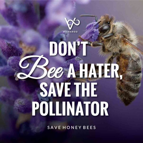 Save Honey Bees Slogans | National Honey Bee Day 