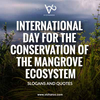 International Day for the Conservation of the Mangrove Ecosystem Slogans and Quotes