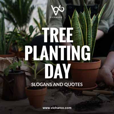 National Tree Planting Day Slogans and Quotes