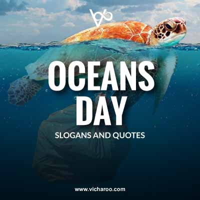 World Oceans Day Slogans and Quotes