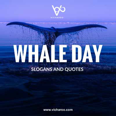 World Blue Whale Day | International Whale Shark Day Slogans and Quotes