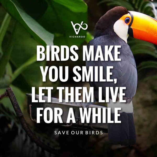 Save Birds Slogans and Quotes | National Bird Day | Birds and Trees Day | Draw a Bird Day | Wild Bird Day