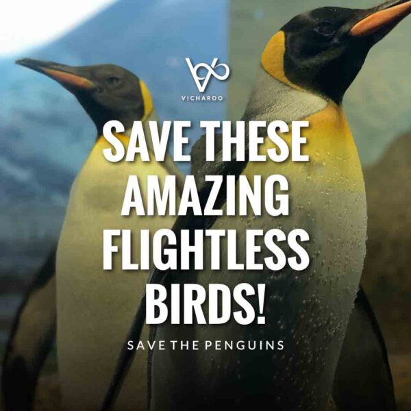 Save Penguins Slogans and Quotes | National Penguin Awareness Day | World Penguin Day