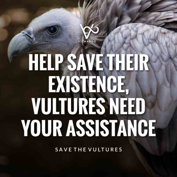 Save Vultures Slogans & Quotes | International Vulture Awareness Day | Buzzards (Turkey Vulture) Day