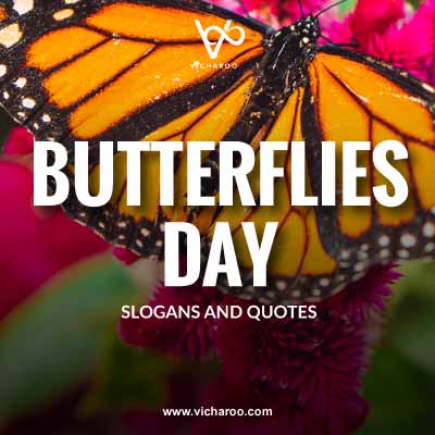 Save Butterfly Slogans and Quotes | National Learn About Butterflies Day