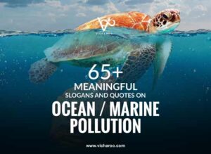 Ocean / marine pollution taglines, slogans, quotes | World oceans day
