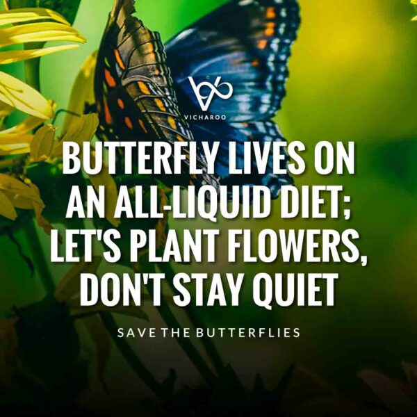 Save Butterfly Slogans and Quotes | National Learn About Butterflies Day