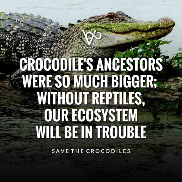 Save Crocodiles Slogans & Quotes | World Crocodile Day | National Gator / Alligator Day