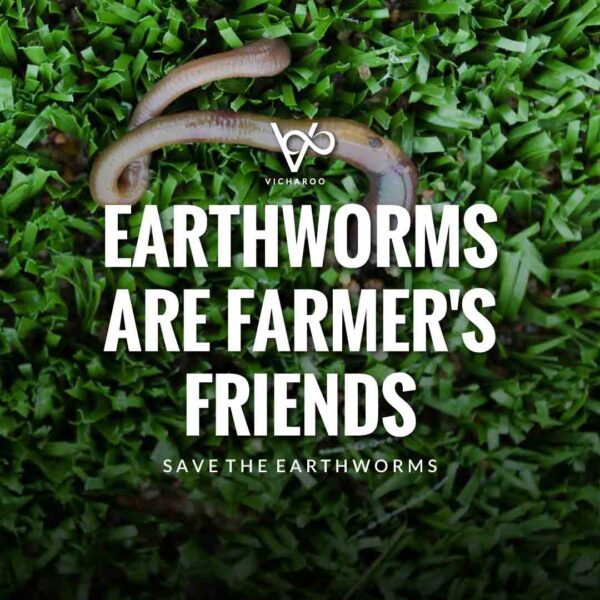 Save Earthworms Slogans and Quotes | World Earthworm Day