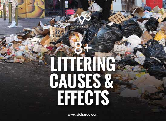 Causes, effects and solutions on littering