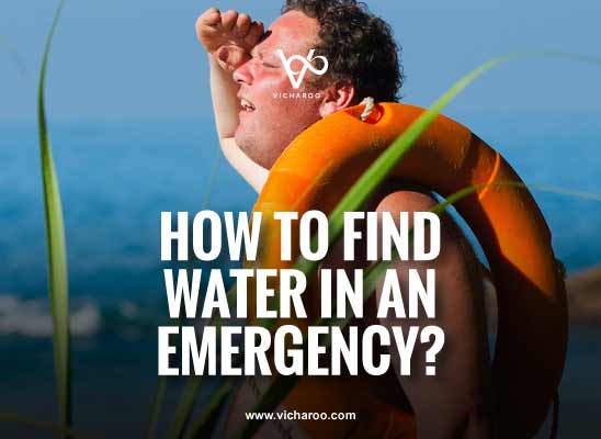 How to find water in an emergency situation? | survival hacks